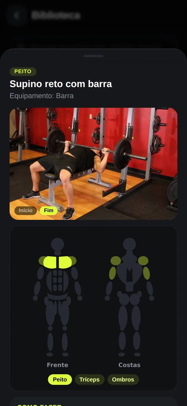 Exercício supino reto com imagem, mapa do corpo e músculos trabalhados